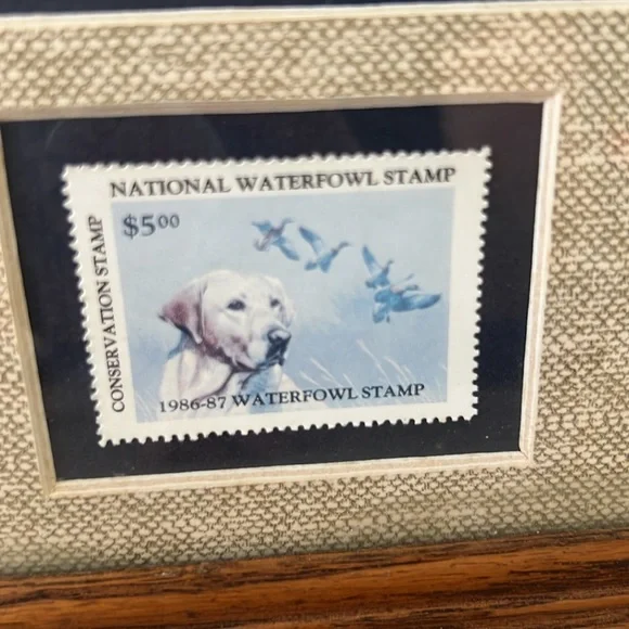 Vintage 1986 national waterfowl conservation stamp framed print by Phillip Crowe